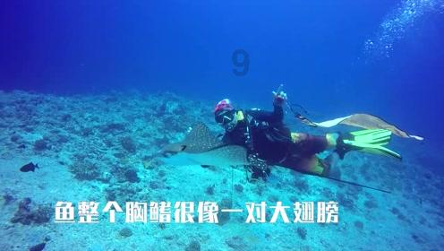 喜羊羊气球大战